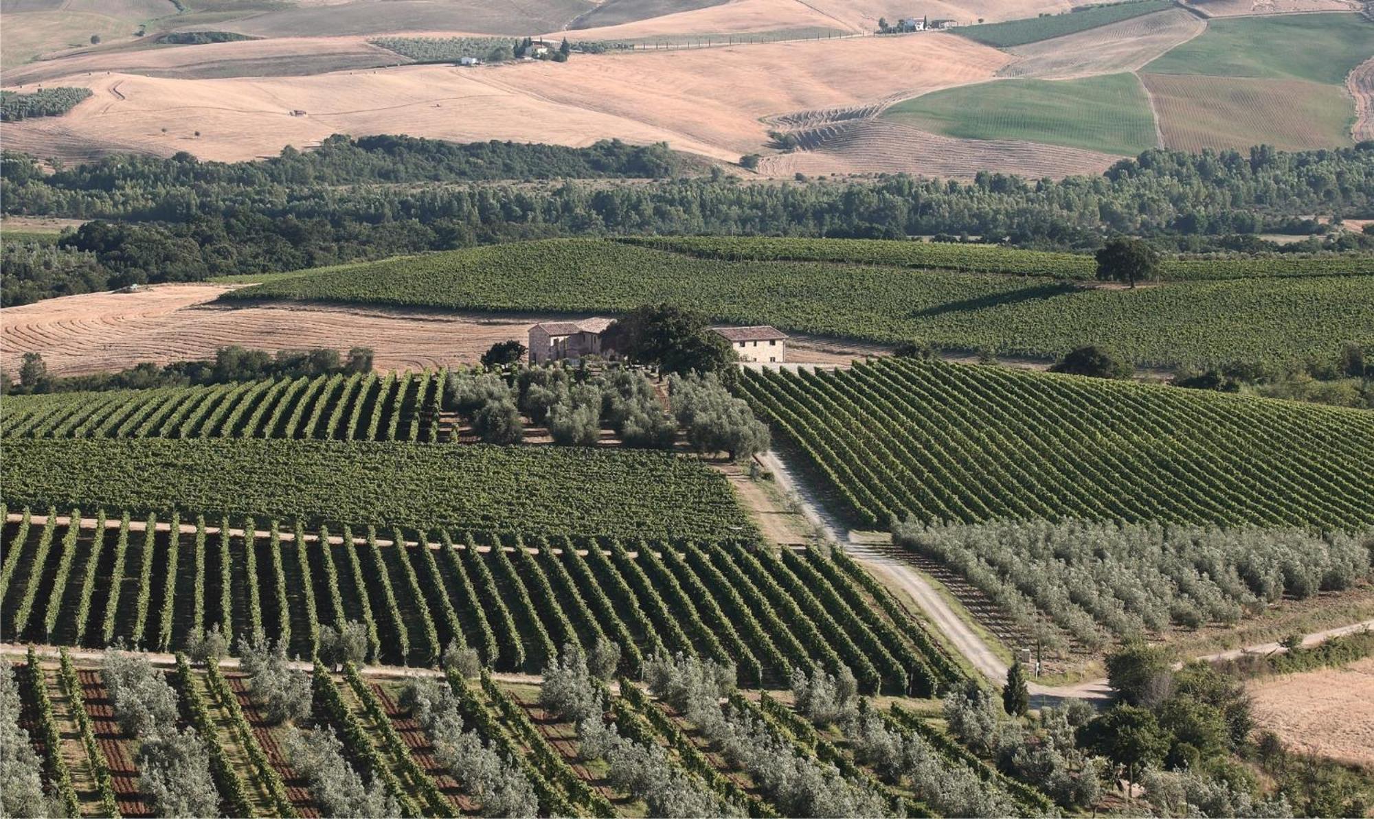 Agriturismo Il Poggione Βίλα Μονταλτσίνο Εξωτερικό φωτογραφία