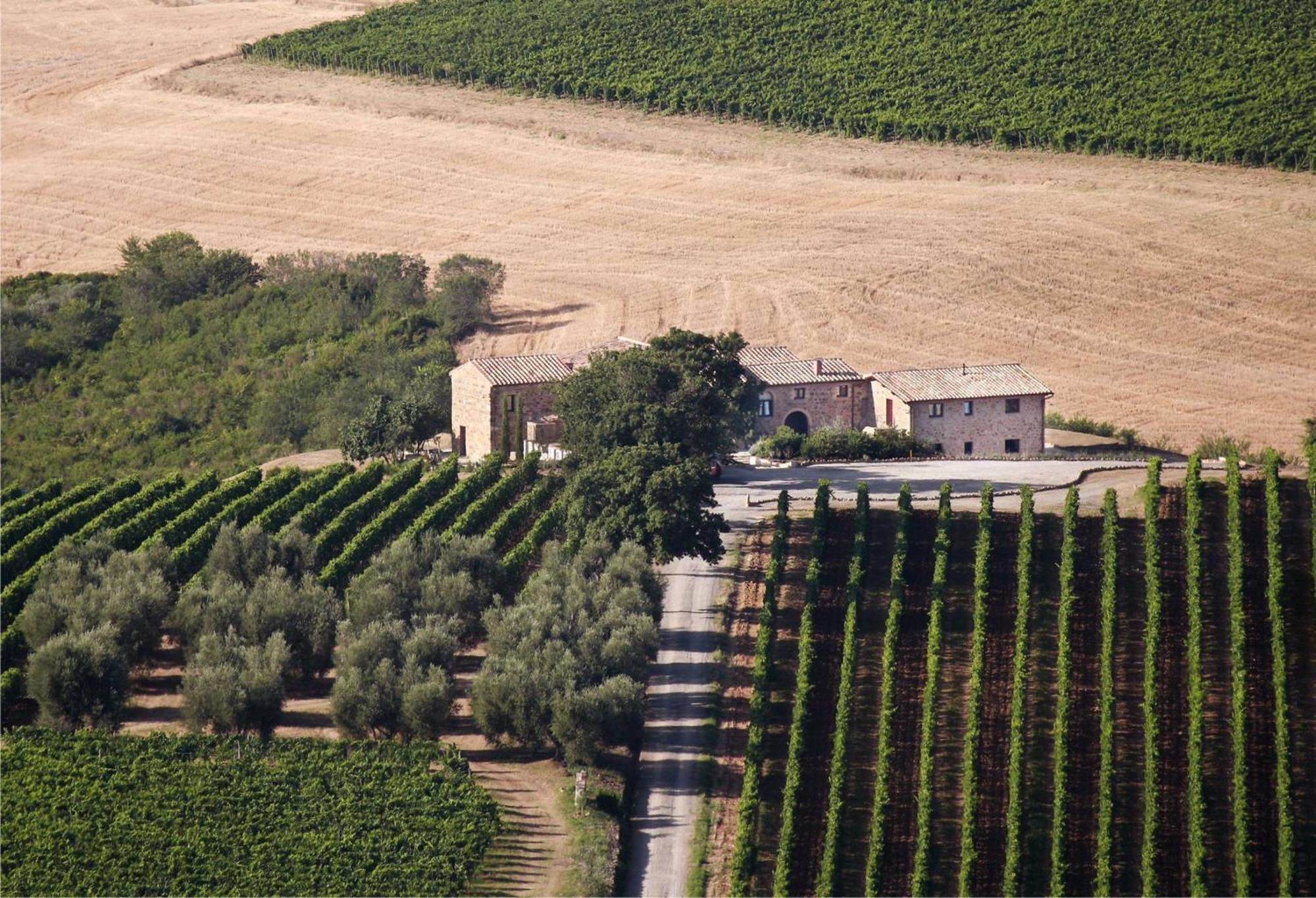 Agriturismo Il Poggione Βίλα Μονταλτσίνο Εξωτερικό φωτογραφία